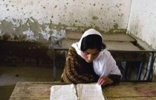 国产欧美非洲免费视频,欧美非洲免费视频大揭秘