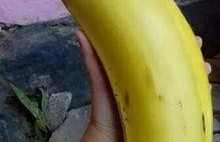 国产对白大香蕉,揭秘国产影视作品的魅力与影响力